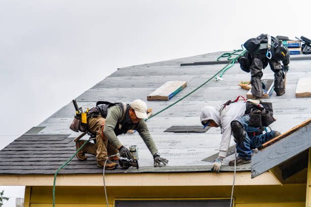 Professional Gutter Installation technician working in Algonquin, IL